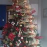 genesis jerez's Christmas tree from acarigua, venezuela