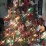 Marcy's Christmas tree from North Syracuse, NY, USA
