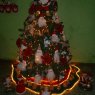 Flia. Salazar Ruiz's Christmas tree from Caracas, Venezuela