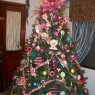 Raily Castillo's Christmas tree from Orange Walk , Belize