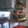 Ynes Jaen's Christmas tree from Caracas, Venezuela