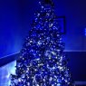 davie mc's Christmas tree from Hove, UK
