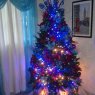 Maria y Odette's Christmas tree from Santo Domingo, República Dominicana
