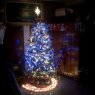 Carmen Castillo's Christmas tree from Guatemala