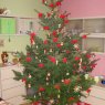 skromnÃ½'s Christmas tree from Czech Republic