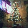 Arbol de Navidad's Christmas tree from El Paso, Tx, USA