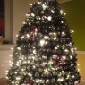 Jan P.'s Christmas tree from Lingen, Germany