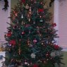 Árbol de Navidad de The Cofers (USA)
