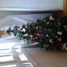 diver arbol's Christmas tree from Madrid, España