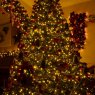 Weihnachtsbaum von Ben Randles (Bristol, England, United Kingdom)