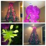 Dominica's Christmas tree from USA