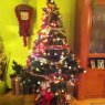 Susana Garcia Alvarez's Christmas tree from Oviedo, España
