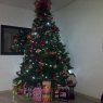 Carlos Tobar Millan's Christmas tree from Colombia