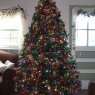 Weihnachtsbaum von Bony (Belle Glade, FL, USA)