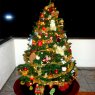 Emmanuel's Christmas tree from Mexico
