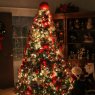 Árbol de Navidad de Caitlin Cochran (Alabama, USA)
