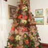 Jeannette Chayya's Christmas tree from Punto Fijo, Estado Falcón, Venezuela