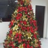 Weihnachtsbaum von Venesys (Caracas, Venezuela)
