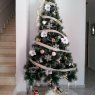 Arlena's Christmas tree from Fuerteventura, España