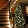 Weihnachtsbaum von LisaP (Vancouver, BC, Canada)