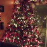 JO ADAMS's Christmas tree from Canada