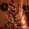 Sonya Kilpatrick's Christmas tree from USA