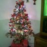 Árbol navideño 's Christmas tree from Córdoba, Argentina