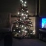 Auntie Cath's Christmas tree from Romford, Essex, UK