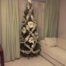 francisco javier's Christmas tree from San Fernando, Cadiz ,España