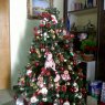 Weihnachtsbaum von Kenya (Caracas, Venezuela)