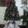 Familia Cordoba's Christmas tree from Caracas, Venezuela