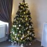 Michael Christmas Tree's Christmas tree from UK
