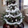 ValDub's Christmas tree from Binche Binche