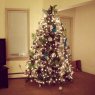 Cortez household's Christmas tree from Bound Brook, NJ, USA