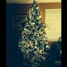 Family  Macias's Christmas tree from Turlock, CA, USA