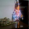 Susanamar's Christmas tree from Argentina