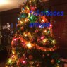 luis ramirez alam's Christmas tree from México DF