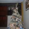patricia tello c.'s Christmas tree from Trujillo, Perú