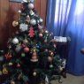 Weihnachtsbaum von Diego Lazarte  (Buenos Aires, Argentina )