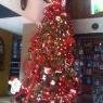 Claudia Chavez Gandarilla's Christmas tree from Ciudad Juarez, Chihuahua, Mexico 
