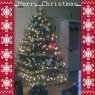 Weihnachtsbaum von Guadalupe (Houston, TX, USA)