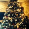 Ann kalbassi's Christmas tree from Studio City, CA, USA