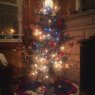 Pumpchkin Tree's Christmas tree from Charleston, WV, USA