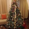 Weihnachtsbaum von Ana Paticia Quintana (Ecuador)