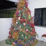 El Pauji's Christmas tree from Yaracuy, Venezuela