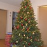 Weihnachtsbaum von Lucy (Suiza)