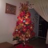 Leslie Ballesteros's Christmas tree from Maracay, Aragua, Venezuela