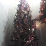 Weihnachtsbaum von Ray Dempsey (Barinas, Venezuela)