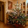 Weihnachtsbaum von Andreas Pfau (Friedrichshafen, Deutschland)