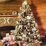 Merry Christmas's Christmas tree from Pennsylvania